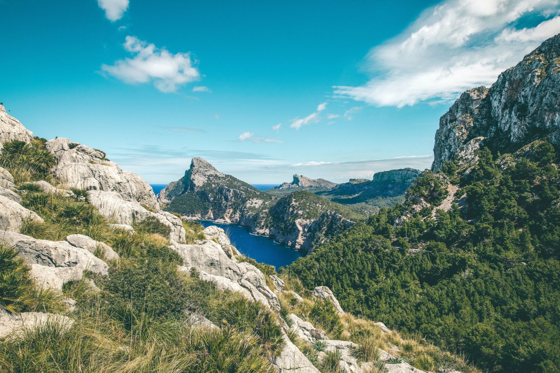 Excursion and Picnic Lunch to Explore Northern Mallorca Mountain Range