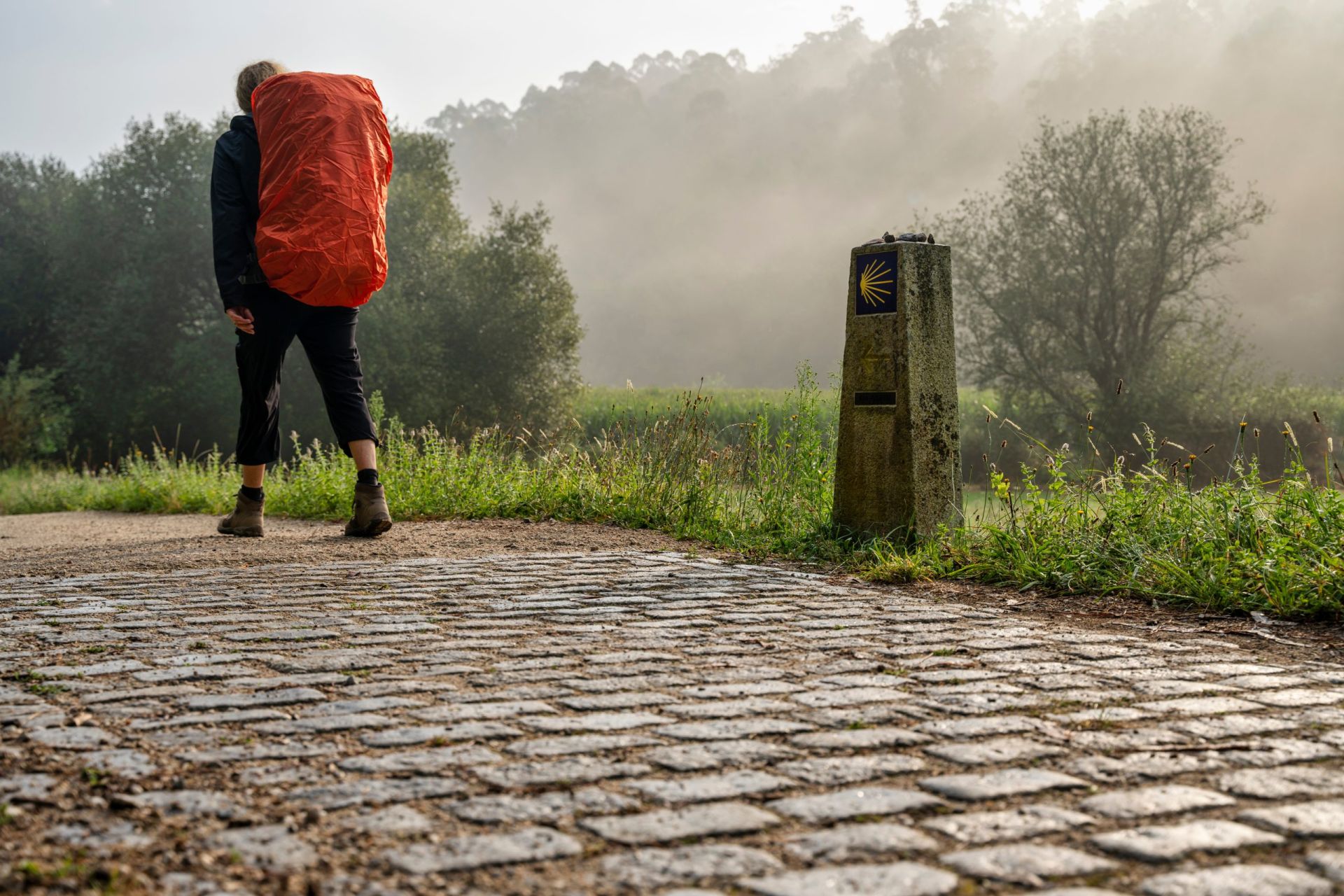 Pilgrim for the Day: Hike the Camino the Santiago