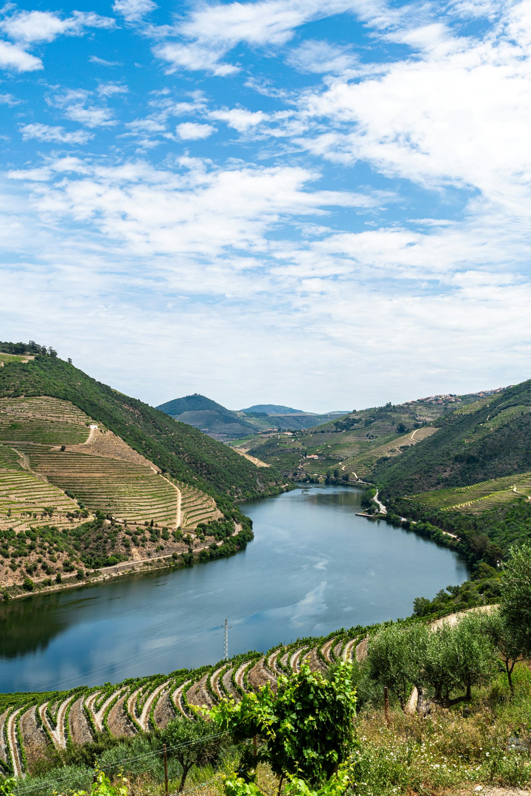 Serinity at Douro Valley